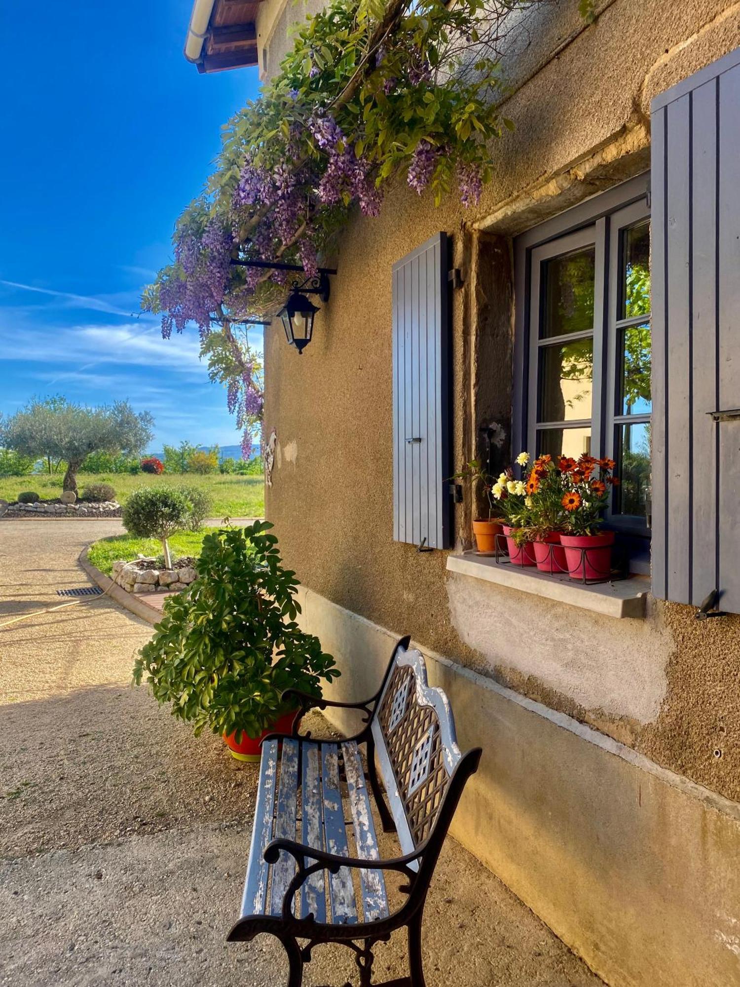 Le Domaine D'Adrien Appartement Larnage Buitenkant foto