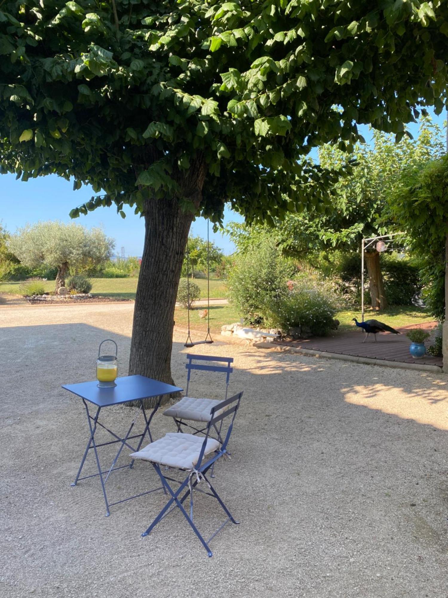 Le Domaine D'Adrien Appartement Larnage Buitenkant foto