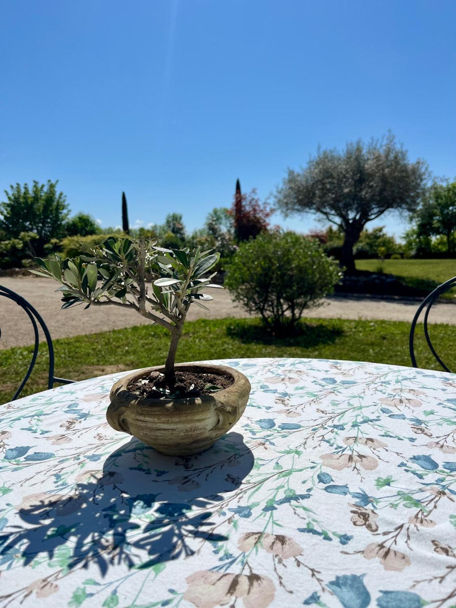Le Domaine D'Adrien Appartement Larnage Buitenkant foto